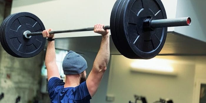 These insects carry enough bacteria to the cause