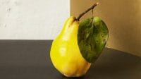 A Mild, Sweet Fruit With a Fibrous Center