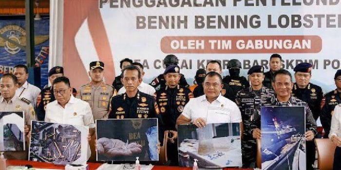 Tim Gabungan Gagalkan Penyelundupan 151.000 Benih Lobster di Bintan