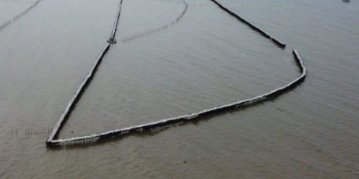 LBH AP Muhammadiyah Laporkan Dugaan Pelanggaran Pemagaran Laut di Tangerang