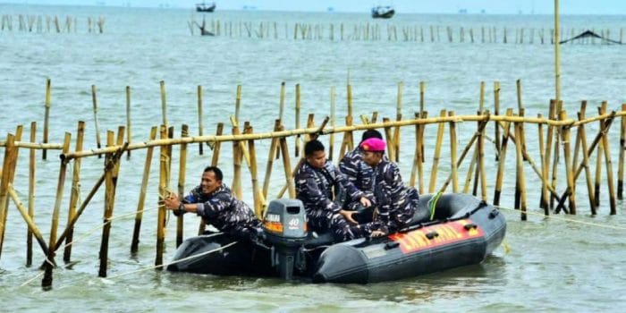 TNI AL Jawab KKP, Pembongkaran Pagar Laut Perintah Presiden Prabowo