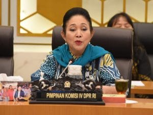 Titiek Soeharto Minta Minta Pelaku Pemagaran Laut di Tangerang Diproses Hukum