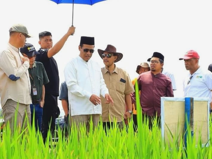 Mentan Amran Tinjau Teknologi Jajar Legowo di Bogor, Targetkan Panen 4 Kali Setahun