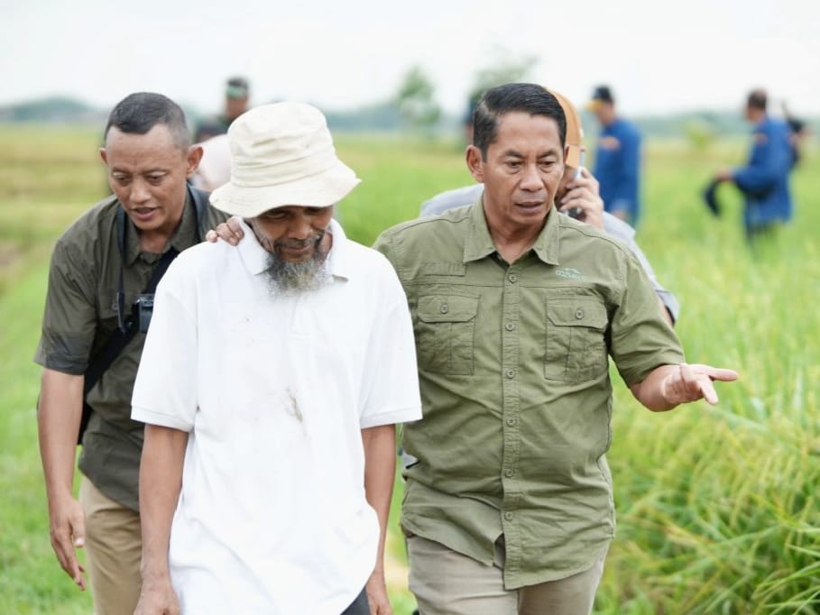 Mabes TNI: Proses Pengunduran Diri Dirut Bulog Mayjen Novi Helmy Selesai Bulan Ini