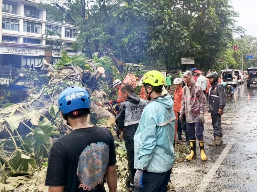 Hujan Lebat dan Angin Kencang di Bogor, Pohon Tumbang Timpa Kendaraan
