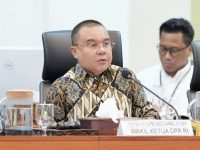 Sufmi Dasco Sebut Investor Qatar Berminat Berinvestasi di Danantara