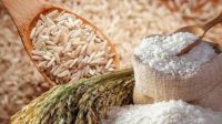 Kejagung Selidiki Dugaan Korupsi Mutu dan Harga Beras, Enam Produsen Dipanggil