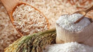 Kejagung Selidiki Dugaan Korupsi Mutu dan Harga Beras, Enam Produsen Dipanggil