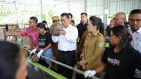 Dorong Hilirisasi, Mentan Amran Minta Naikkan Harga Kelapa di Tingkat Petani
