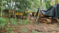 Satgas PKH Temukan 7 Excavator Ilegal Disembunyikan di Kebun Warga Desa Perlang