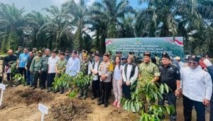 Satgas PKH Relokasi Lahan Warga dari Taman Nasional Tesso Nilo