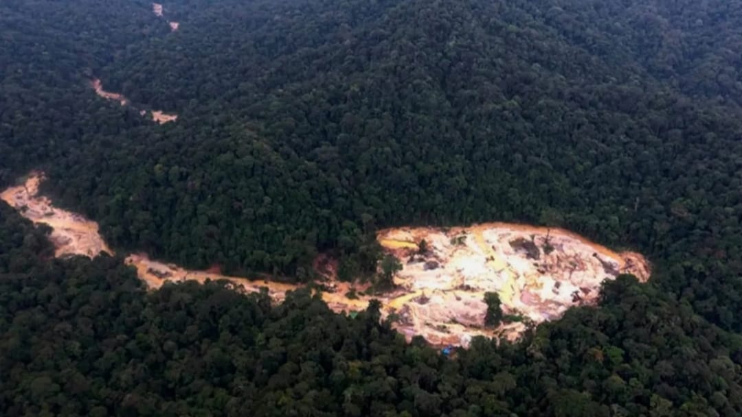 Satgas PKH Endus Modus Pencucian Kayu Ilegal di Aceh, Sumut, dan Sumbar