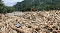Bareskrim Polri Selidiki Pembalakan Liar di Sumut dan Sumbar
