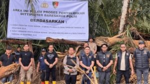 Bareskrim Amankan 27 Gelondongan Kayu Terbawa Banjir Bandang di Tapanuli Selatan