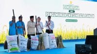 Indonesia Ukir Sejarah, Swasembada Pangan 2025 Tercapai Lebih Cepat