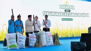 Indonesia Ukir Sejarah, Swasembada Pangan 2025 Tercapai Lebih Cepat