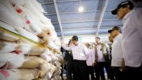 Sidak Pelabuhan Karimun, Mentan Amran Tegaskan Usut 1.000 Ton Beras Ilegal
