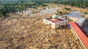 Bareskrim Polri Selidiki Dugaan Pembalakan Liar Pemicu Banjir Bandang di Aceh Tamiang