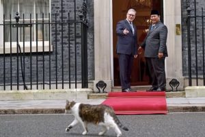 Disambut PM Keir Starmer, Presiden Prabowo Alami Momen Unik Bertemu Larry the Cat di Downing Street