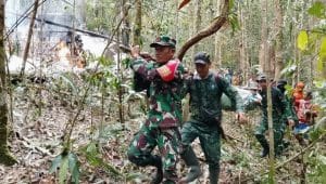 TNI Evakuasi Korban Kecelakaan Pesawat Pelita Air di Perbatasan RI–Malaysia