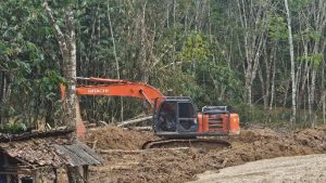 Polda Lampung Bongkar Tambang Emas Ilegal di Way Kanan, 14 Orang Jadi Tersangka