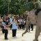 Kapolri dan Titiek Soeharto Tinjau Konservasi Gajah di Tesso Nilo, Tegaskan Pemulihan Kawasan