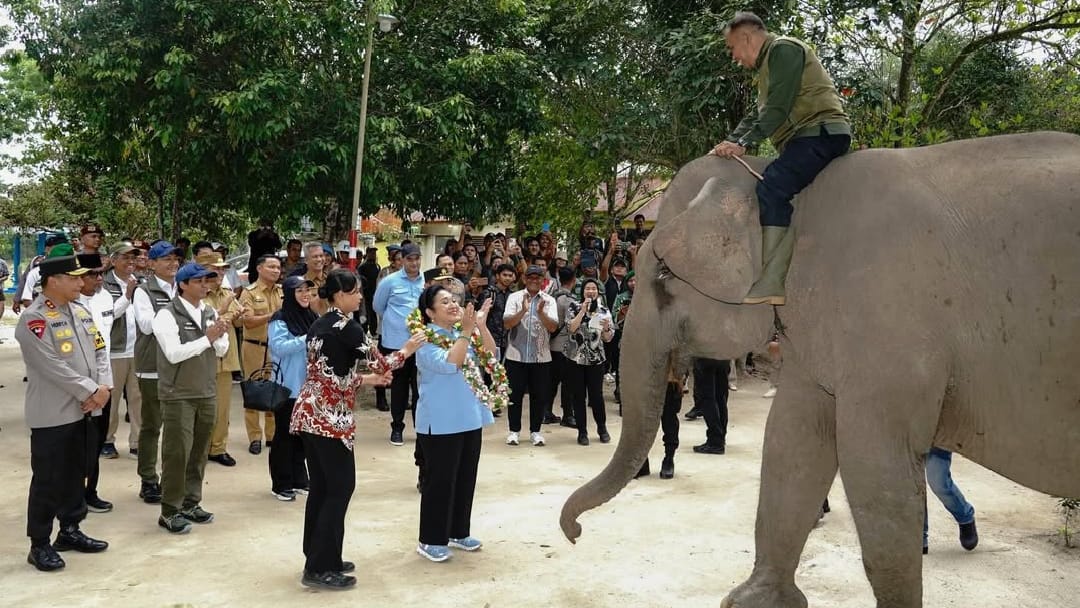 Kapolri dan Titiek Soeharto Tinjau Konservasi Gajah di Tesso Nilo, Tegaskan Pemulihan Kawasan