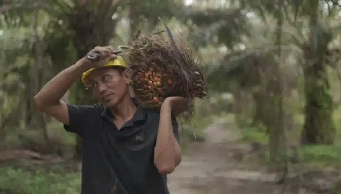 Ekspor CPO Naik 26,40 Persen di Awal 2026, BPS Catat Kinerja Positif Nonmigas