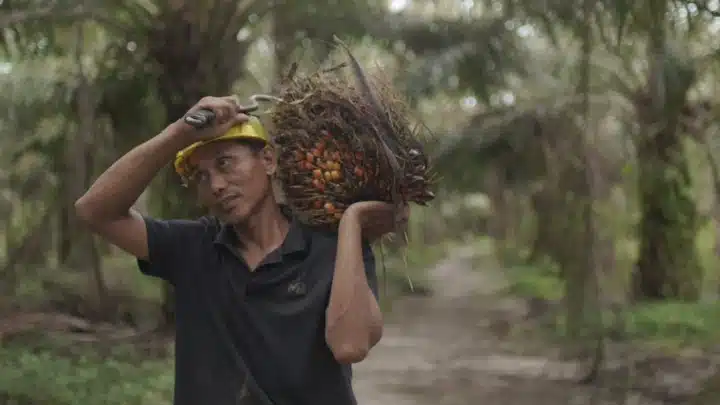 Ekspor CPO Naik 26,40 Persen di Awal 2026, BPS Catat Kinerja Positif Nonmigas