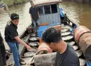 Polda Riau Sita 10 Ribu Liter BBM Ilegal, Empat Pelaku Ditangkap