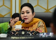 Komisi IV DPR RI Dorong Penguatan Cadangan Pangan Nasional Hadapi Tantangan Global
