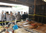 Sindikat BBM Ilegal di Pesawaran Lampung Diungkap, 32 Orang Diamankan