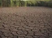 Kemarau 2026 Diprediksi Lebih Kering, BMKG Minta Antisipasi Dini