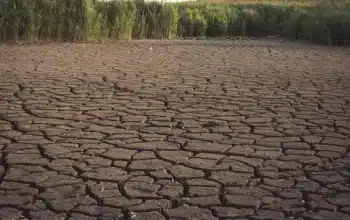 Kemarau 2026 Diprediksi Lebih Kering, BMKG Minta Antisipasi Dini