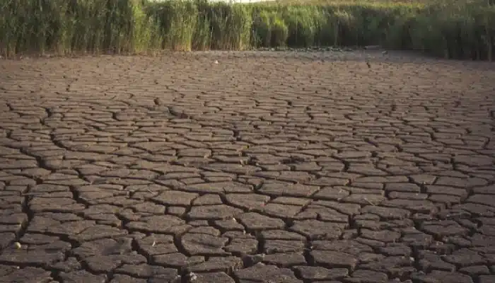 Kemarau 2026 Diprediksi Lebih Kering, BMKG Minta Antisipasi Dini