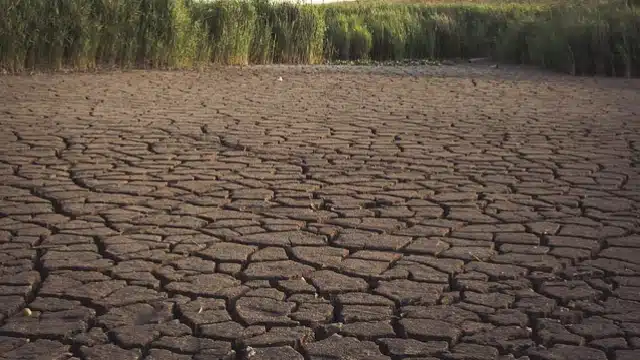 Kemarau 2026 Diprediksi Lebih Kering, BMKG Minta Antisipasi Dini