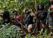 Koops Habema Tindak Jeki Murib, Tokoh OPM yang Diduga Terlibat Sejumlah Aksi Kekerasan