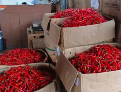 Jelang Idul Adha, Harga Cabai di Kota Bogor Naik, Daging Bertahan Tinggi