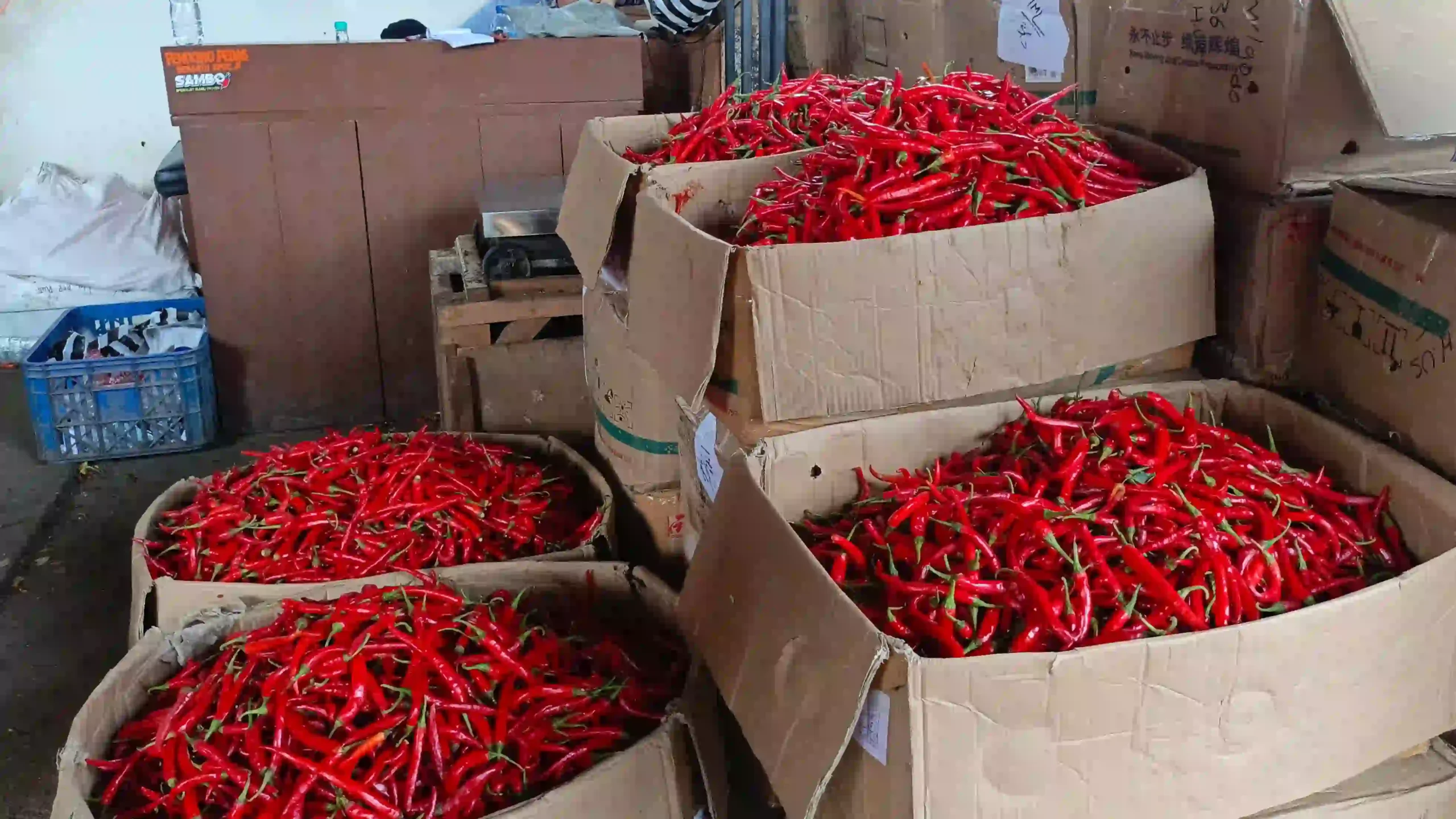 Jelang Idul Adha, Harga Cabai di Kota Bogor Naik, Daging Bertahan Tinggi