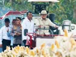 Presiden Prabowo Panen Raya Jagung di Tuban, Produksi Nasional Tembus 1,23 Juta Ton