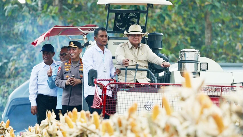 Presiden Prabowo Panen Raya Jagung di Tuban, Produksi Nasional Tembus 1,23 Juta Ton
