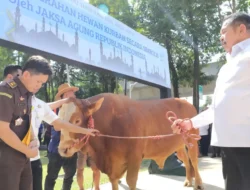Sambut Idul Adha, Kejaksaan Agung Serahkan 57 Hewan Kurban untuk Masyarakat