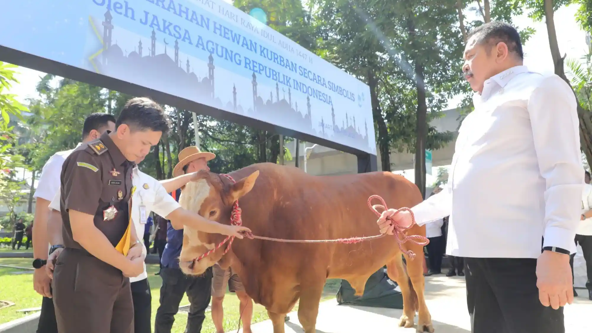 Sambut Idul Adha, Kejaksaan Agung Serahkan 57 Hewan Kurban untuk Masyarakat