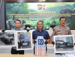Polda Riau Tetapkan Dua Orang Tersangka TPPU Perdagangan Gading Gajah, Transaksi Capai Rp1,8 Miliar