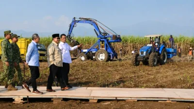 Presiden Prabowo Pimpin Panen Raya TNI di 43 Titik, Ketahanan Pangan Jadi Gerakan Nasional