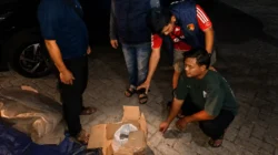 Satlap Tri Cakti dan Resmob Polres Belitung Amankan 605,5 Kg Bijih Timah Ilegal