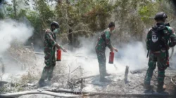 TNI Kerahkan Tim Alfa Padamkan Titik Panas Karhutla di Way Kambas