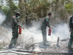 TNI Kerahkan Tim Alfa Padamkan Titik Panas Karhutla di Way Kambas