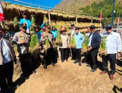 Titiek Soeharto dan Kapolri Panen Raya Bawang Putih di Sembalun, Dorong Swasembada