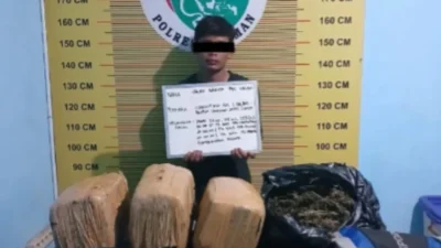 Dua Kurir Ganja Ditangkap di Pasaman Sumbar, 23 Kg Disita